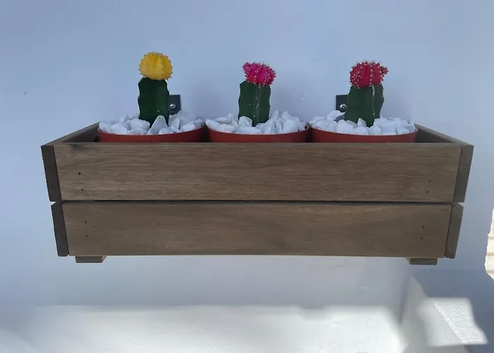 El Paraiso De Kayla * Puerto del Carmen (Lanzarote)